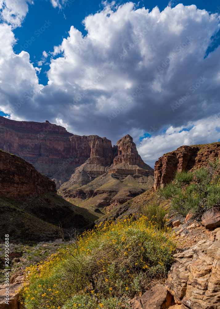 Landscapes and Views of Grand Canyon National Park 
