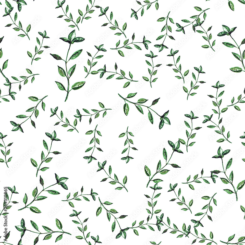 Watercolor basil pattern Watercolor basil pattern