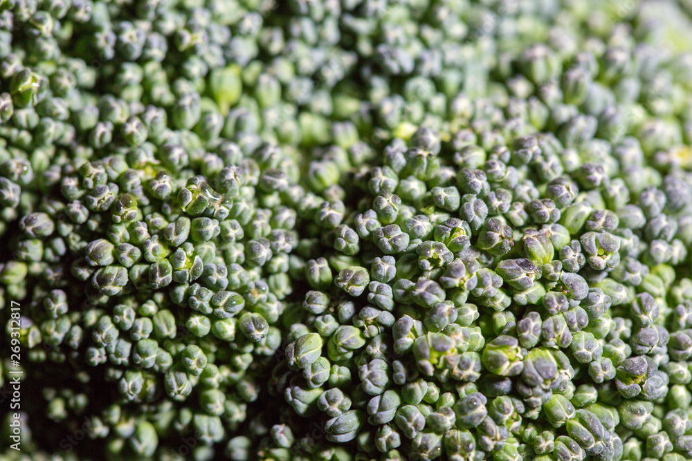 broccoli raw fresh close up broccoli raw fresh close up