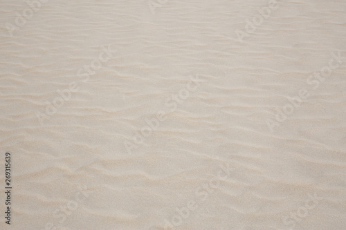 Sand surface on the beach