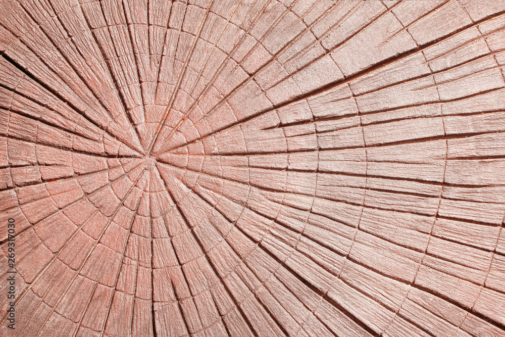 Fototapeta premium Walkway background top view