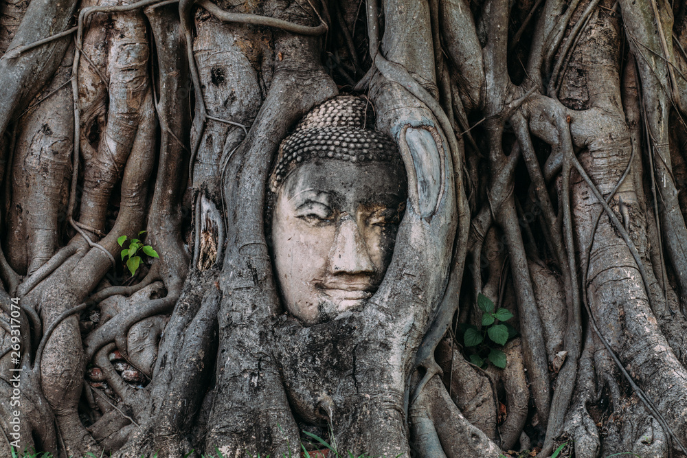 Buddha Head in Tree Roots in Wat Mahathat, Ayutthaya, Thailand.Phra Nakhon Sri Ayutthaya is the Unesco world heritage Buddha Head in Tree Roots in Wat Mahathat, Ayutthaya, Thailand.Phra Nakhon Sri Ayutthaya is the Unesco world heritage