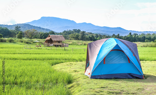 Spread the tent on the rice field