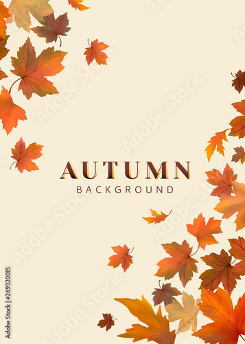 Autumn leaves background