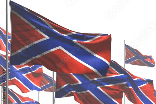 pretty many Novorossia flags are waving isolated on white - any celebration flag 3d illustration..