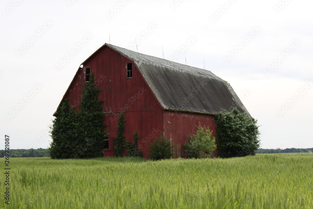 Illinois Red Barn 2019 Illinois Red Barn 2019