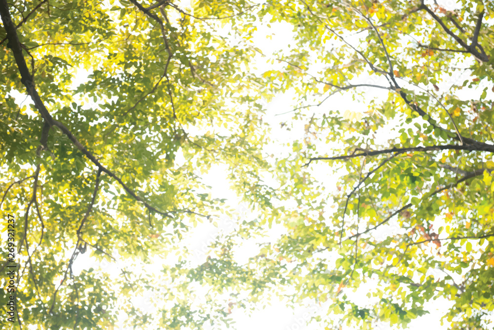 Fototapeta premium Nature pattern background