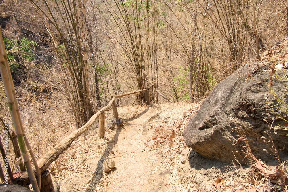 Walkway in the forest at Op Luang National Park, Hot, Chiang Mai, Thailand. Hot weather and arid. Walkway in the forest at Op Luang National Park, Hot, Chiang Mai, Thailand. Hot weather and arid.