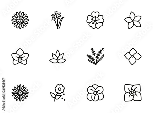 Flowers line icon set. Daffodil, gerbera, lavender. Nature concept. Can be used for topics like blossoming, spring, summer, plants