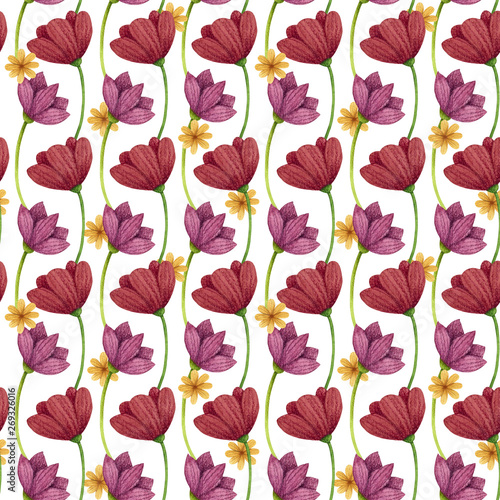 Seamless Pattern. Flowers poppy and daisy. Watercolor and colored pencil illustration.