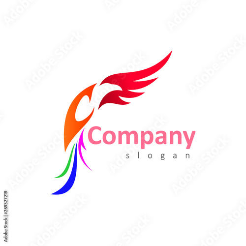  bird logo and letter C, eagle logo with letter c design template
