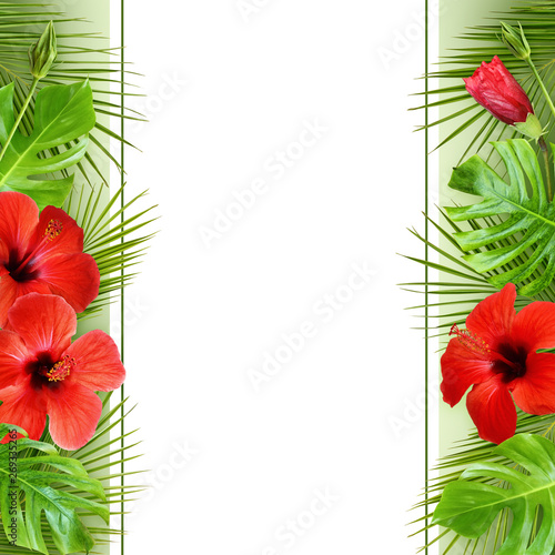 Hibiscus flowers and palm l...
