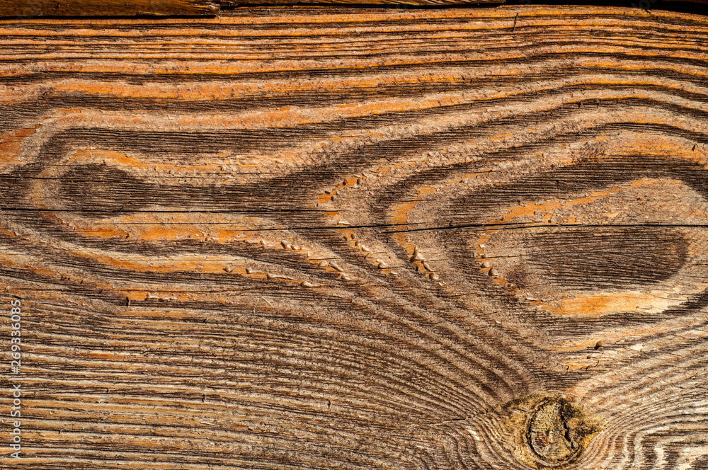 Fototapeta premium old wood background texture