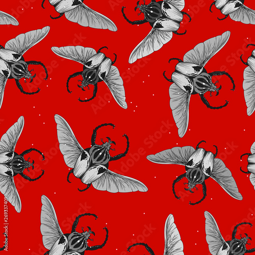 Seamless pattern with goliath beetle. Vector