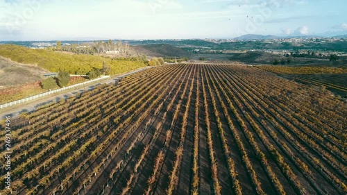 Aerial video of vineyard 