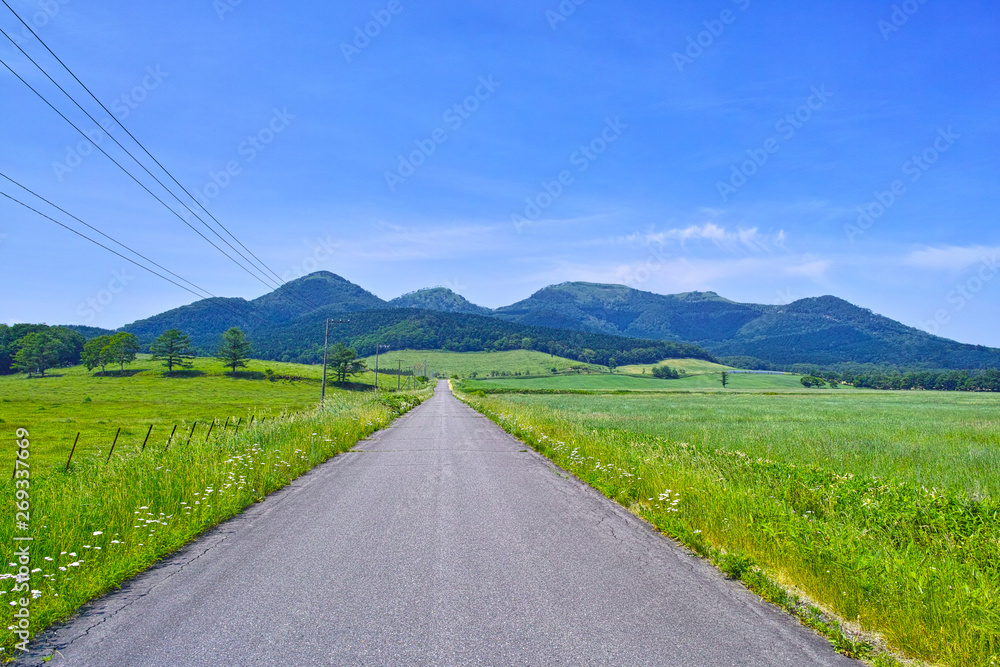 初夏の北海道 草原と牧草地の間の直線道路 Stock Photo Adobe Stock 初夏の北海道 草原と牧草地の間の直線道路 Stock Photo Adobe Stock