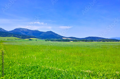 Plakat 初夏の北海道、草原と山並み