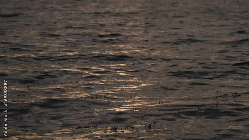 Closeup of ocean waves with sunset reflections Closeup of ocean waves with sunset reflections