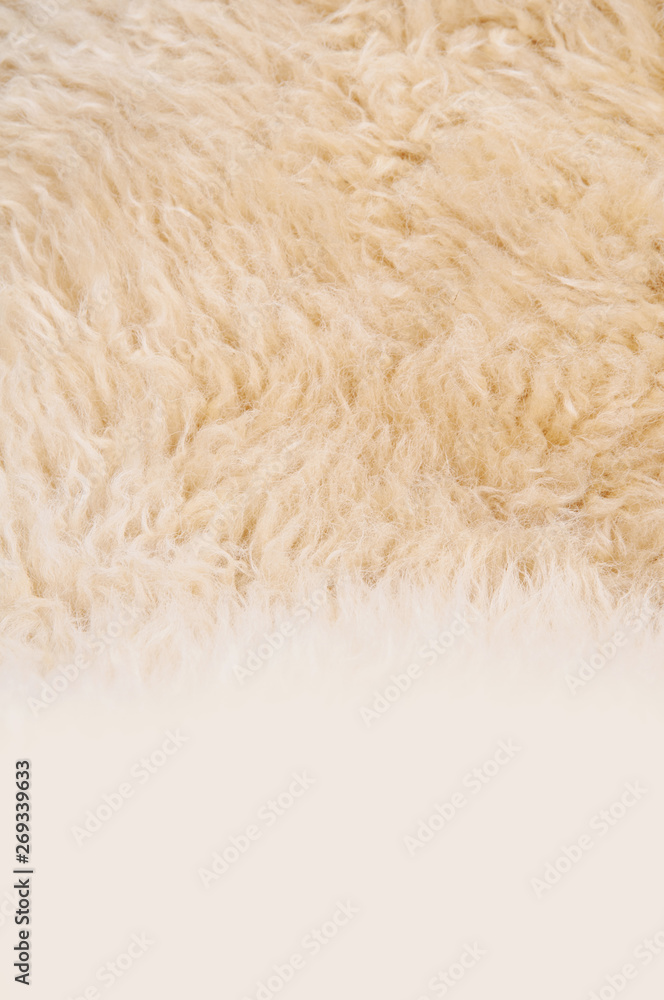 Sheep's wool. Sheep wool texture lamb background Sheep's wool. Sheep wool texture lamb background
