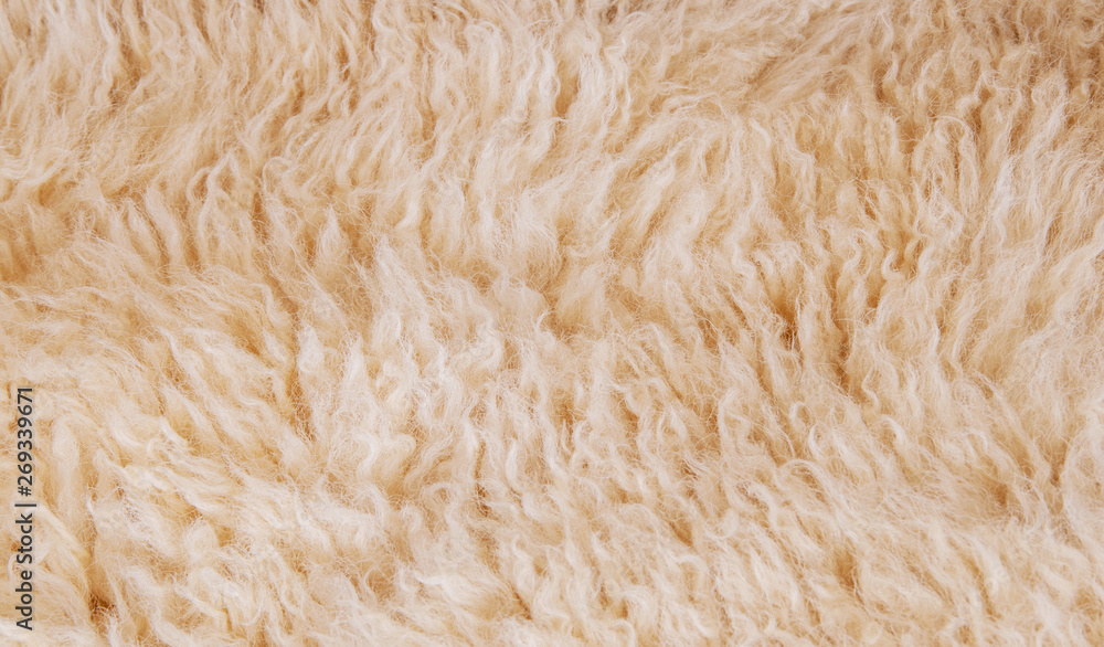 Close Up Of Lambswool Background Texture Stock Photo, Picture and Royalty  Free Image. Image 20893346.
