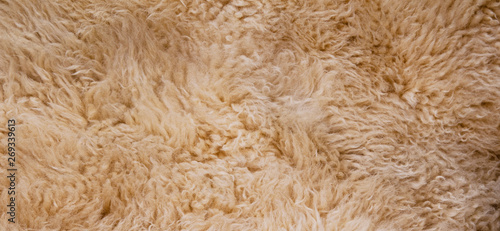 Sheep's wool. Sheep wool texture lamb background