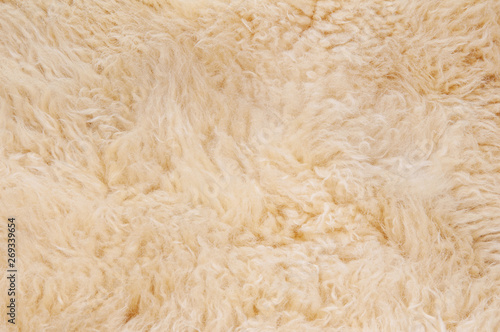 Sheep's wool. Sheep wool texture lamb background