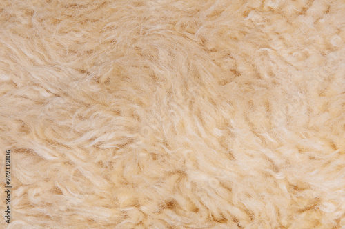 Sheep's wool. Sheep wool texture lamb background