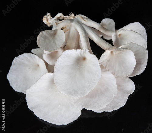 White beech mushrooms isolated on black background