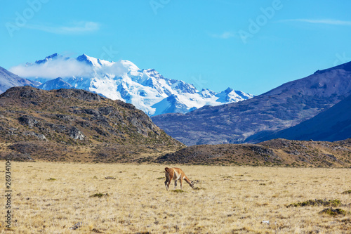 Perito Moreno Park