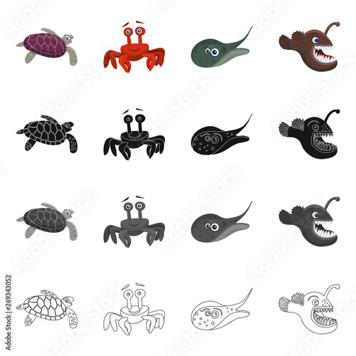 Isolated object of sea and animal logo. Collection of sea and marine stock symbol for web.
