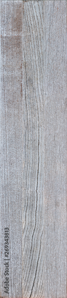 Wood high resolution macro texture Wood high resolution macro texture