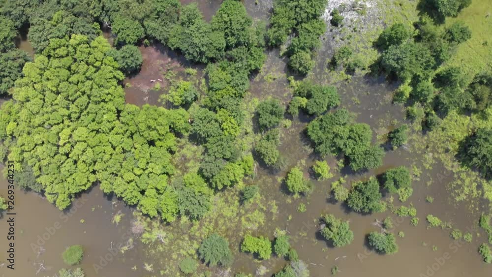 Drone flies across a flooded lake filled with trees Drone flies across a flooded lake filled with trees