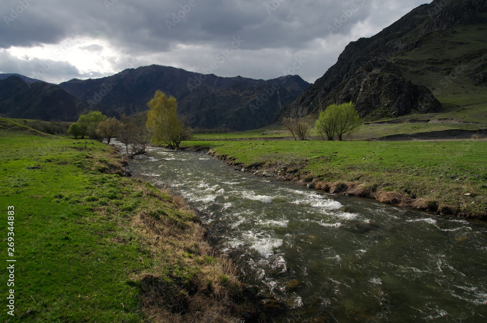 Mountain river stream among green fields