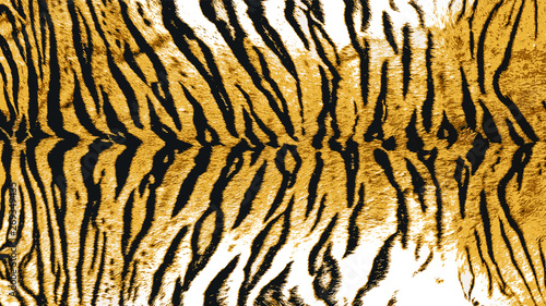 Vector Illustration Art of Indo-Chinese Tiger (Panthera Tigris Corbetti) Skin / Pelt for Background, Backdrop or Wallpaper.