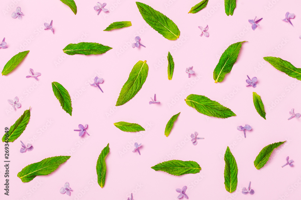 Green mint leaves pattern on blue background. Minimal trendy background Green mint leaves pattern on blue background. Minimal trendy background