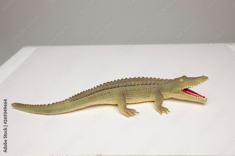 ワニ ワニ