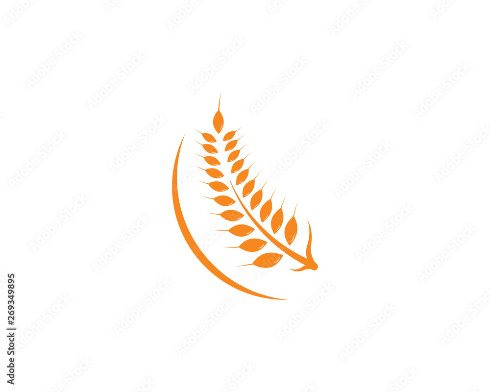 Agriculture wheat Logo Template vector icon Agriculture wheat Logo Template vector icon