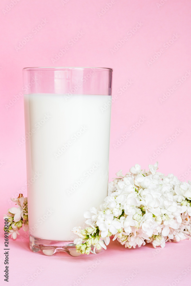 Glass with milk on pink background with white flowers Glass with milk on pink background with white flowers