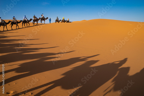 Camal Caravan in Sahara Desert in east Morocco