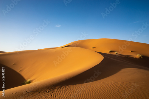 Fototapeta Naklejka Na Ścianę i Meble -  Sahara Desert Morocco
