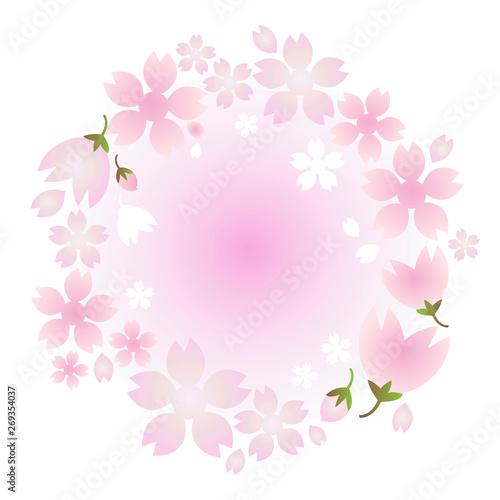 vector cherry blossom flower   pink flower