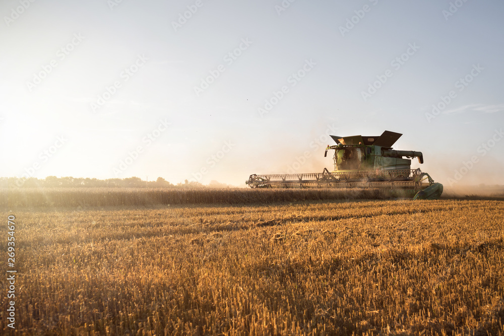 Mähdrescher bei der Ernte auf dem Feld Mähdrescher bei der Ernte auf dem Feld