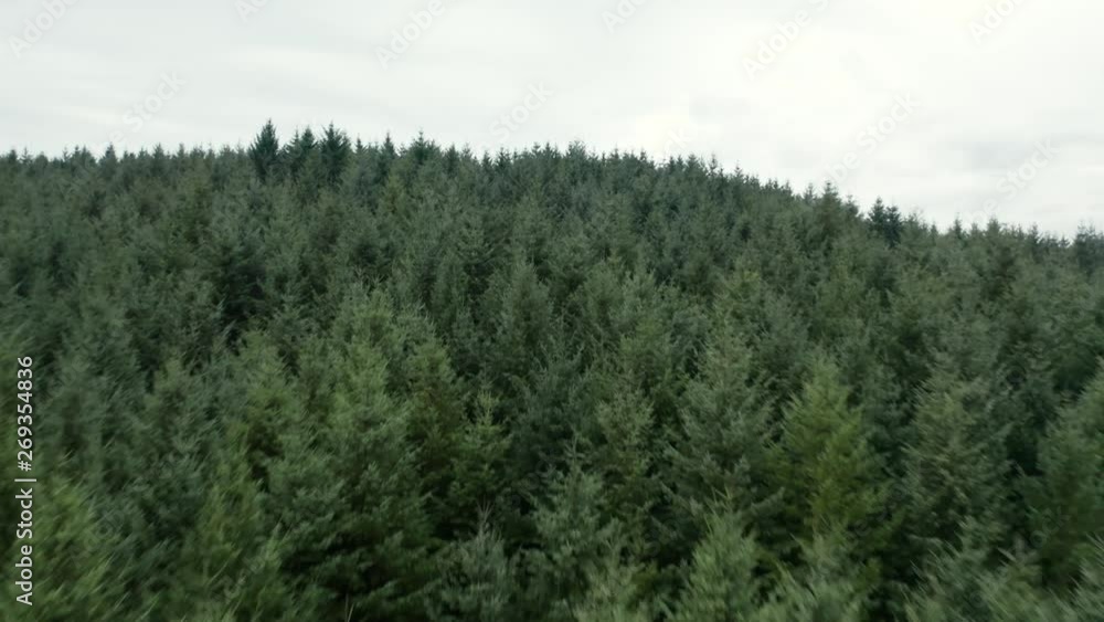 Drone flyover of a deciduous forest in central Oregon on a foggy morning in Winter. Drone flyover of a deciduous forest in central Oregon on a foggy morning in Winter.