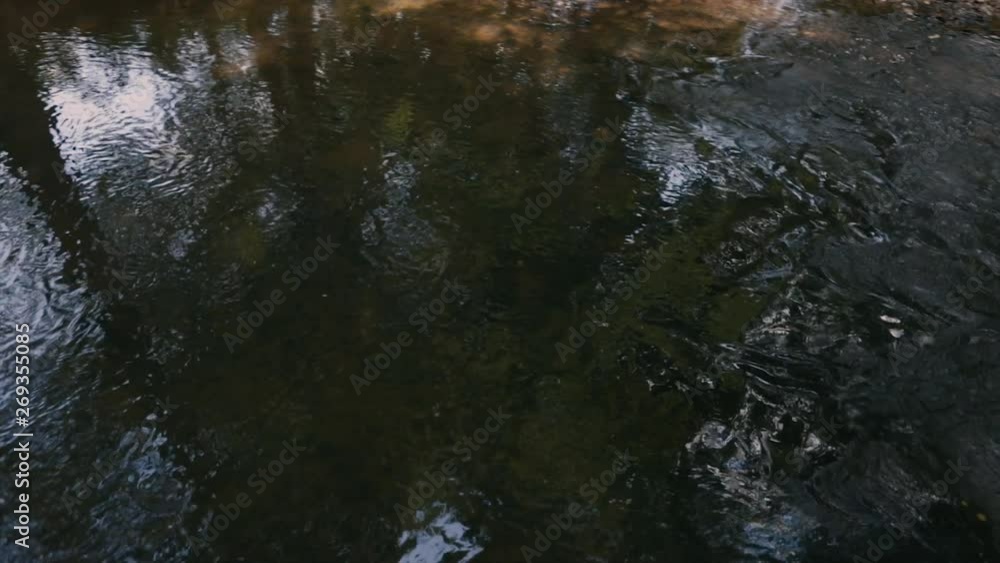 Pan over the river flowing down stream at Sweetwater Creek State Park. Pan over the river flowing down stream at Sweetwater Creek State Park.