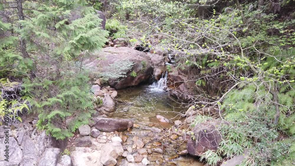A tilt shot of a stream on a rural mountain trail in Japan. A tilt shot of a stream on a rural mountain trail in Japan.