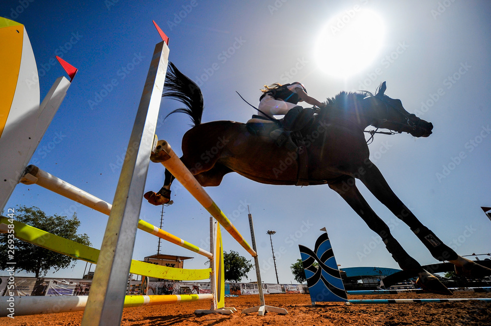 Naklejka premium The bottom view on the rider on horse jumping over a hurdle during the equestrian event