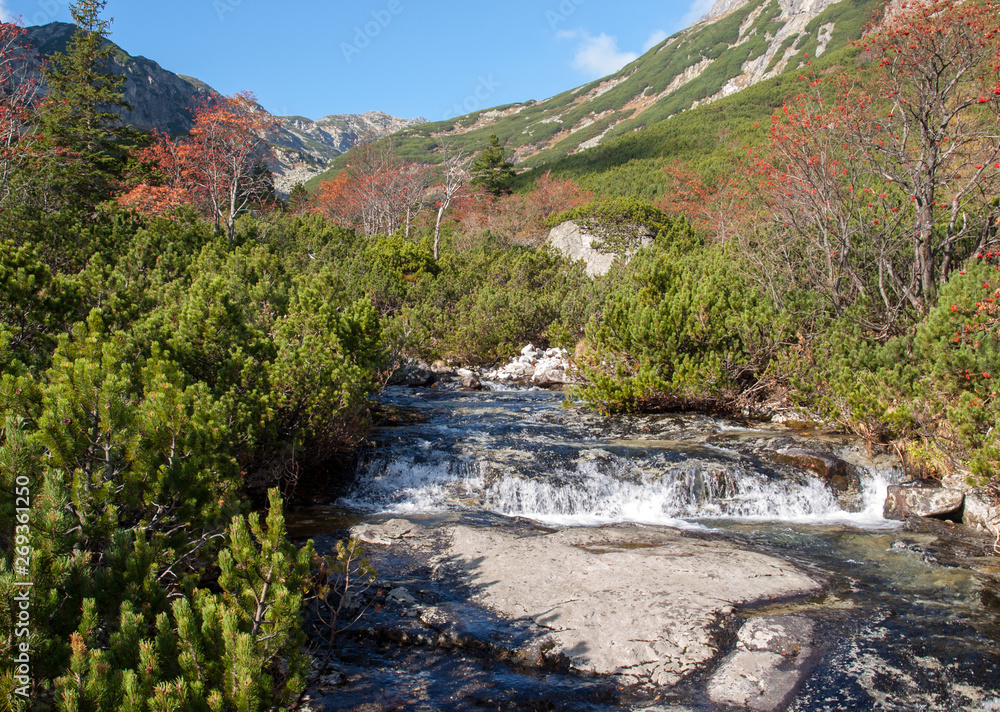 Great Cold Valley in Vysoke Tatry (High Tatras), Slovakia. The Great Cold Valley is 7 km long valley, very attractive for tourists Great Cold Valley in Vysoke Tatry (High Tatras), Slovakia. The Great Cold Valley is 7 km long valley, very attractive for tourists