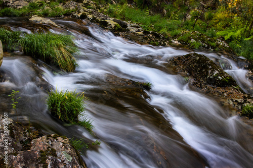 clear water in green landscape