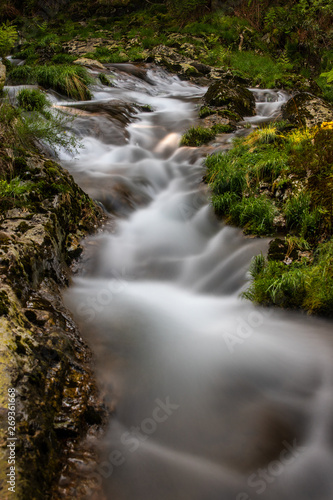 Fototapeta Naklejka Na Ścianę i Meble -  small river in green forest