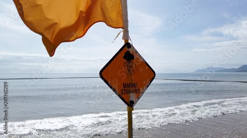 Jellyfish warning sign in Port Douglas, Australia photo